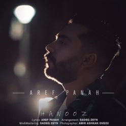 دانلود آهنگ عارف پناه هنوز با کیفیت 320